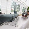 Froda2014 (15)